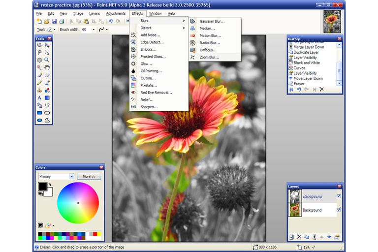 paint net online photo editing