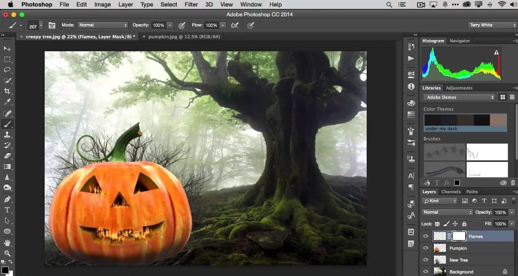 photoshop alternatives illustrator cc pro software services