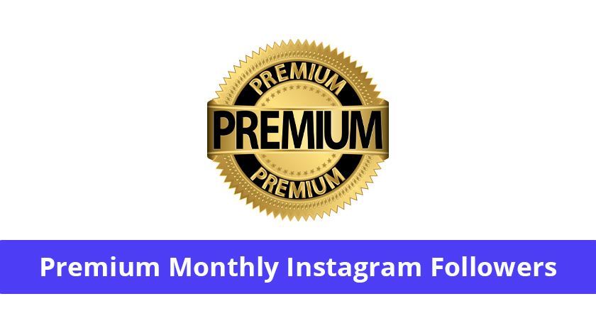 Social10x premium followers