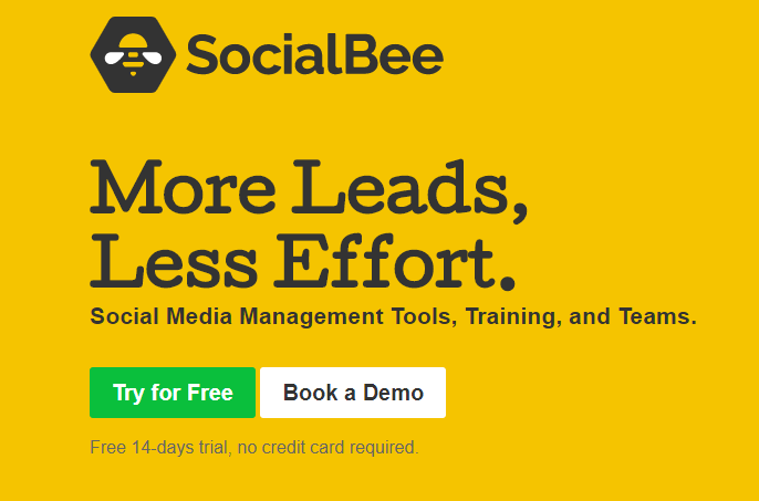 socialbee