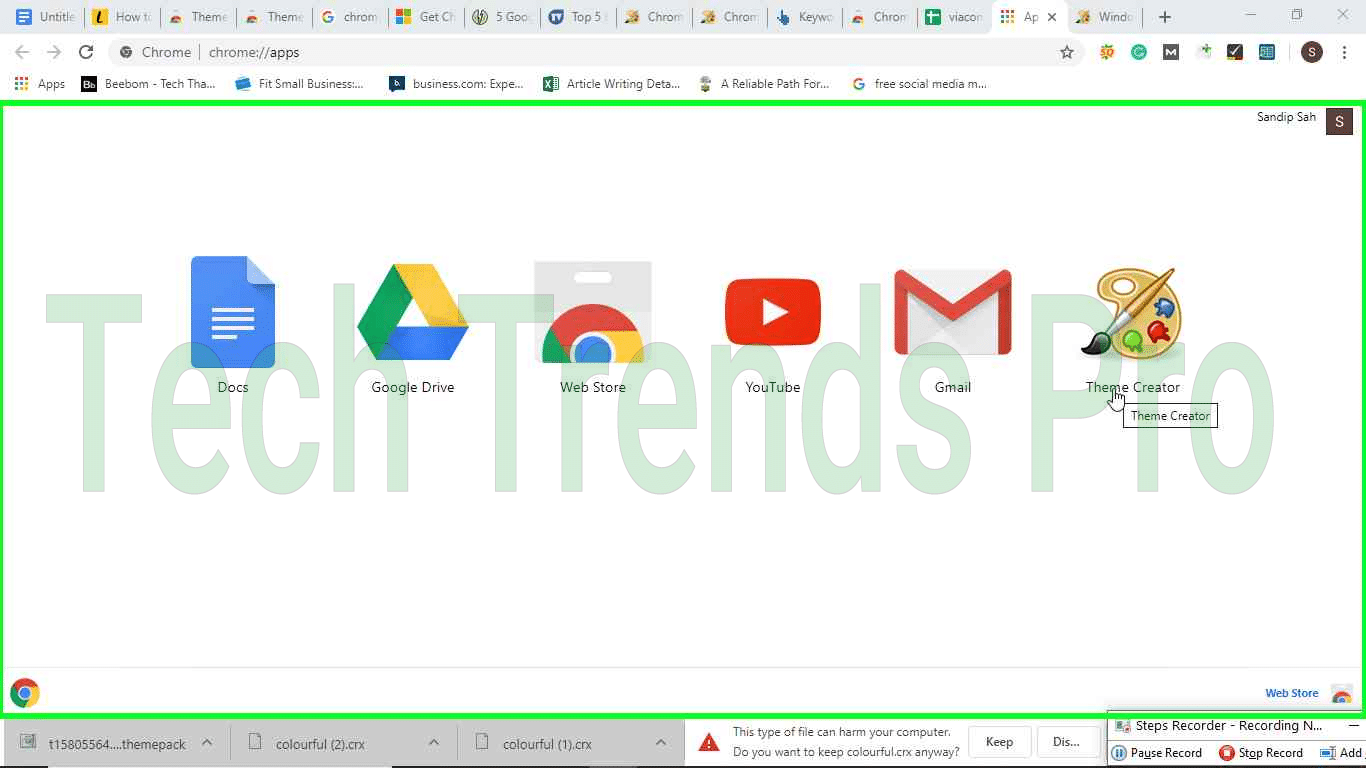 google chrome app store themes