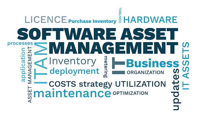 Software Asset Management