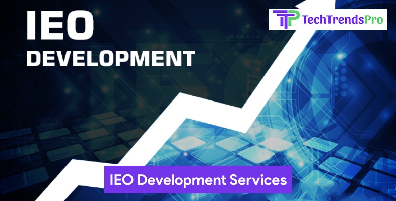 What Is IEO Development Services