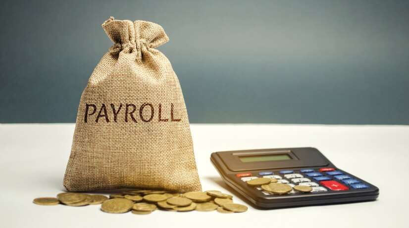 Manage Payroll