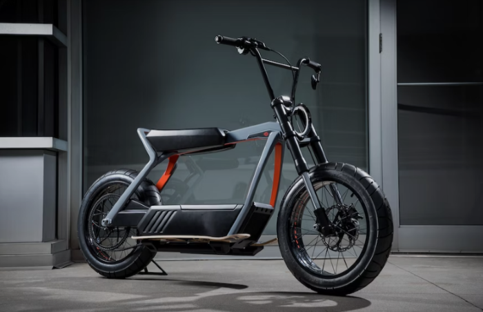 Electric Folding Bike