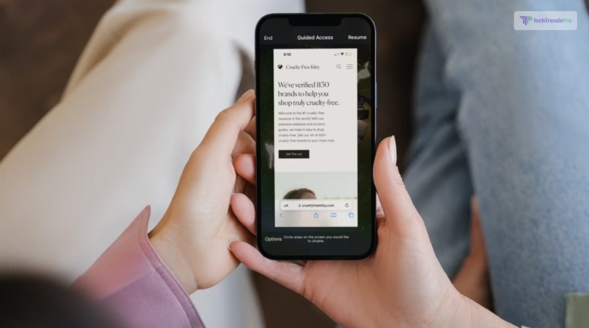 Guided Access Not Working? How To Fix It? (iPhone or iPad) TTP