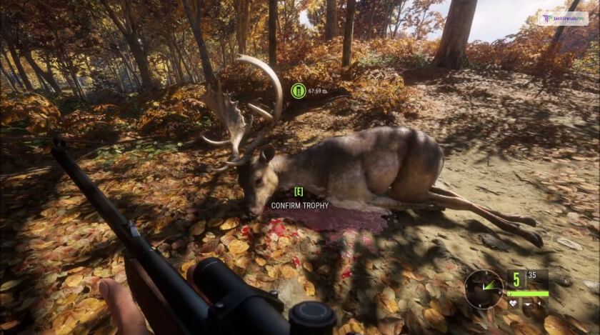 The Hunter Call Of The Wild Cheats 2021 The Hunter Call Of The Wild Cheats: Updated List In 2023!