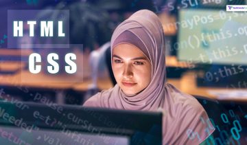 Web Development Companies in Egypt