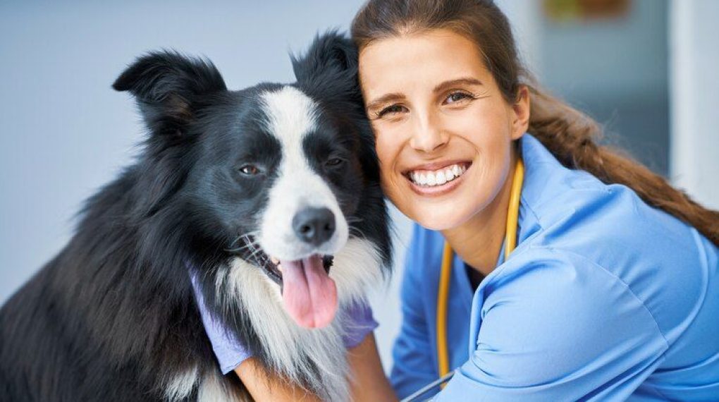 Dental Coverage in Pet Insurance