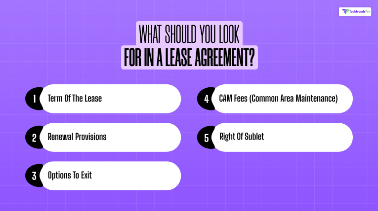 What Should You Look for in a Lease Agreement