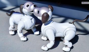 Sony Launches A New Program “Foster Parents” For Aging Robot Puppy In Japan