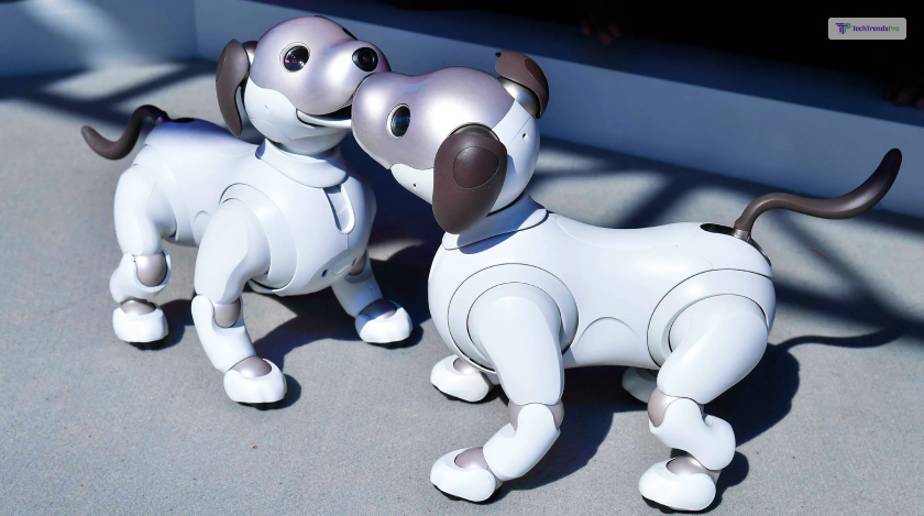 Sony Launches A New Program “Foster Parents” For Aging Robot Puppy In Japan