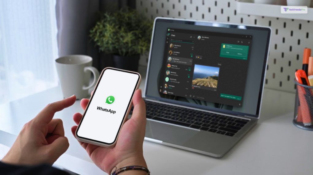 2023 WHATSAPP WEB visual data 4