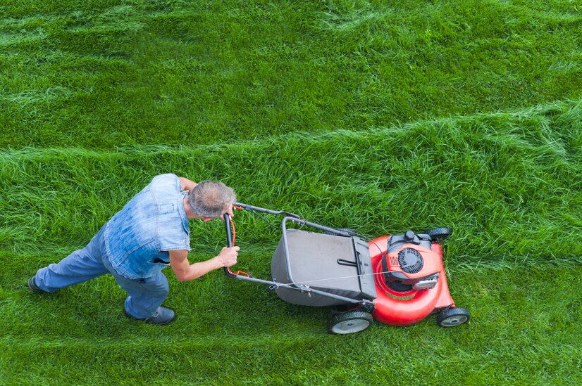 Manual Push Vacuum Sweepers