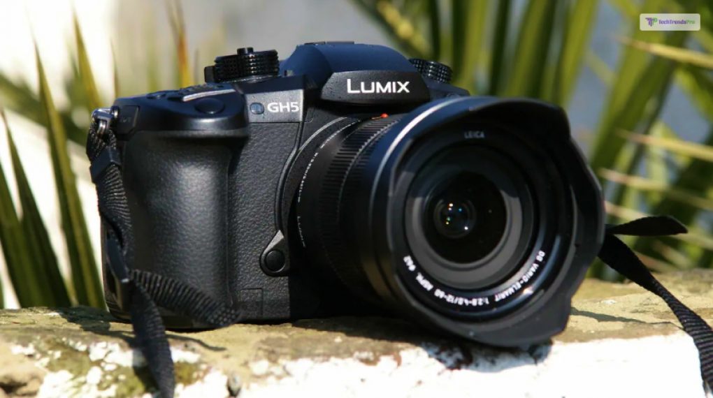 3. Panasonic Lumix GH5_ A Filmmaker's Delight