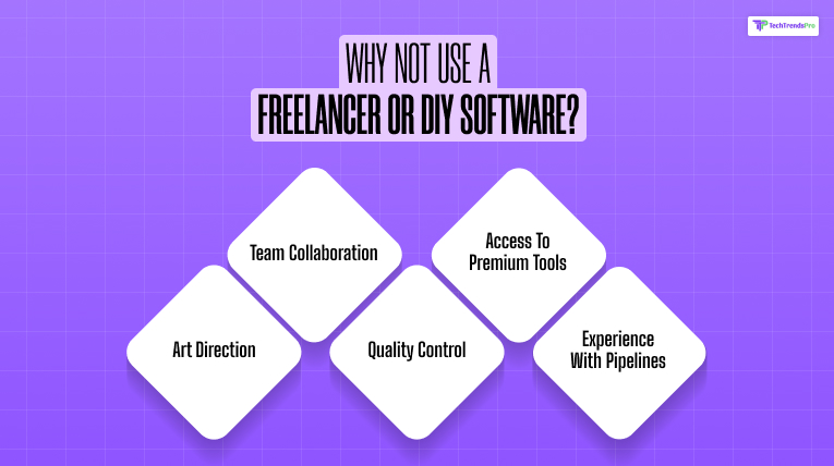 Why Not Use a Freelancer or DIY Software?