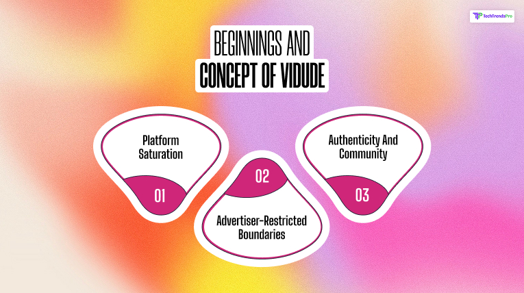 Beginnings and Concept of Vidude