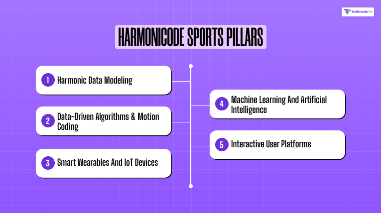 Harmonicode Sports Pillars