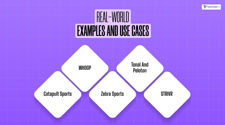 Real-World Examples and Use Cases