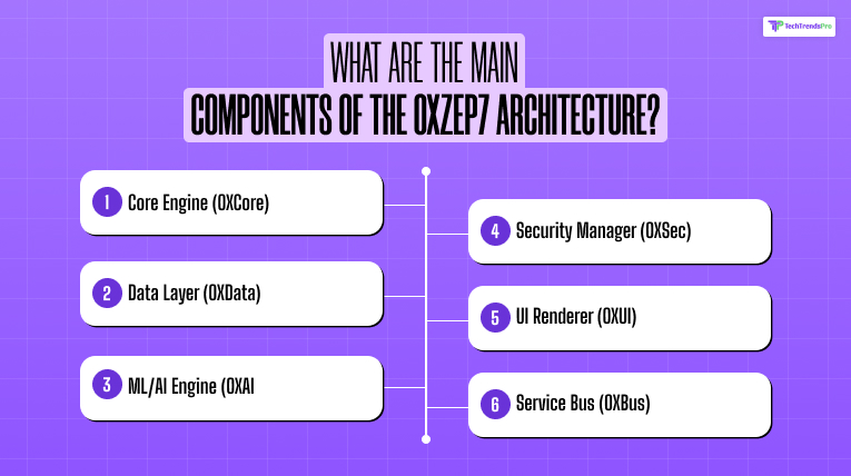 What Are The Main Components Of The OXZEP7 Architecture