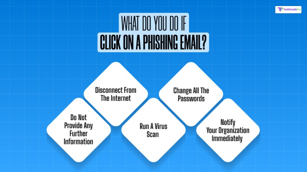 What Do You Do If You Click On A Phishing Email?